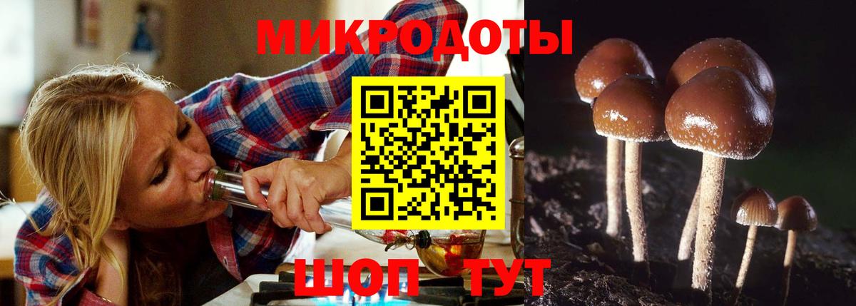 Галлюциногенные грибы Magic Shrooms Алексеевка